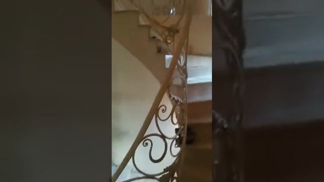 Кованые ограждения винтовой лестницы. смотреть онлайн