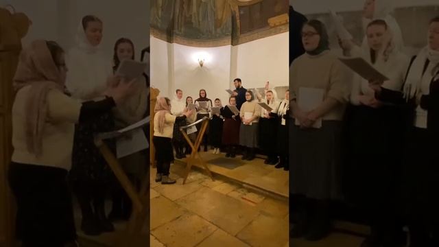 Литургия факультета церковного пения в храме Троицы Живоначальной в Вишняках. Регентская практика. смотреть онлайн
