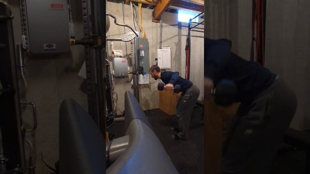 Standing Bent Over Dumbbell Reverse Flyes смотреть онлайн