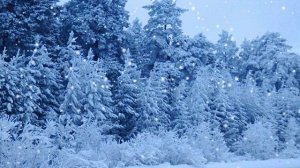 Футаж. Зимний пейзаж 45