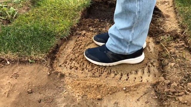 Грунт для газона песок, торф или земля Узнай, что лучше в этом видео! смотреть онлайн