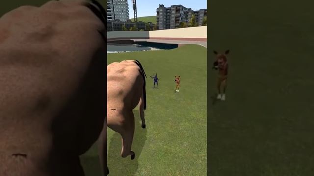 КАКОЙ SCP САМЫЙ КРУТОЙ В ГАРРИС МОД PILL PACK ► Garry's Mod Часть 1 смотреть онлайн