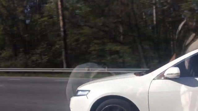 Accord 2,4AT(Reflash)VS Accord 2,4 MT (Stock) RollOn 60 km/h_2 смотреть онлайн