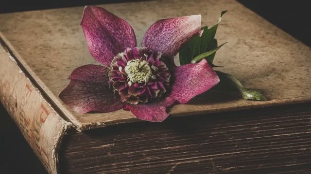 Получив на телефон видео, где её муж отжигает с любовницей, Лариса обомлела. Но муж даже ... смотреть онлайн