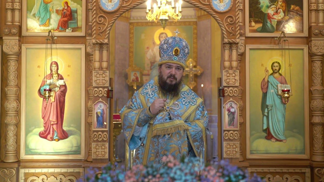 Проповедь владыки Антония в канун празднования Похвалы Пресвятой Богородицы смотреть онлайн