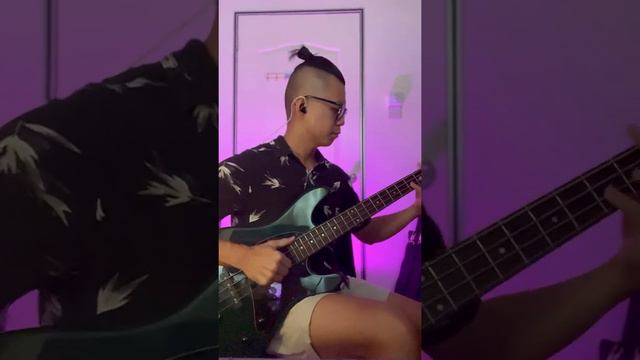 RHCP - Aeroplane (bass cover) смотреть онлайн