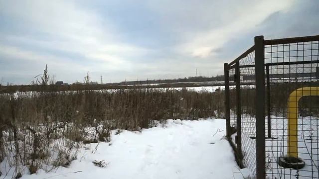 Купить участок в Подмосковье. Ховрино. Вешки. Срочно. Не дорого! смотреть онлайн