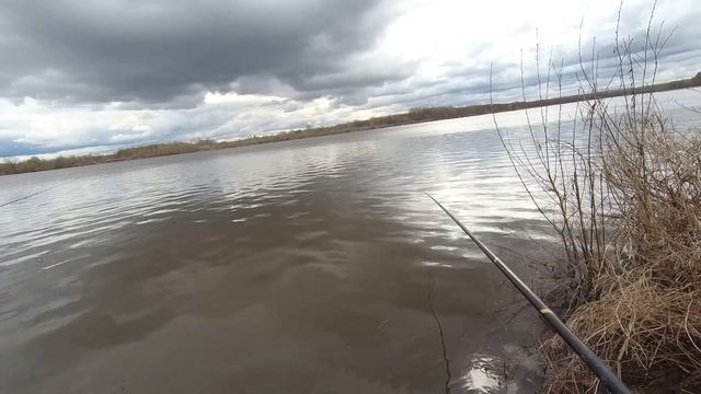 РЫБАЛКА НА ПОПЛАВОК | ЛОВЛЯ ПЛОТВЫ НА р.Сура смотреть онлайн