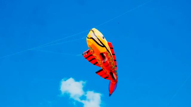 Пёстрое Небо, фестиваль воздушных змеев смотреть онлайн