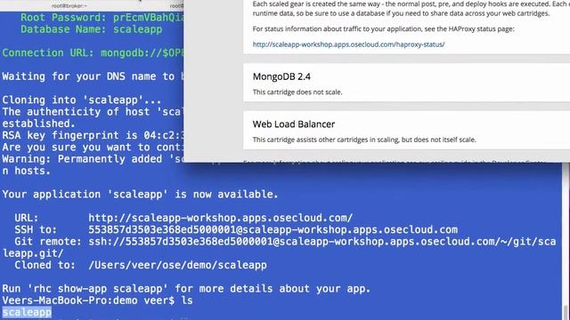 Demo: Autoscaling on OpenShift смотреть онлайн