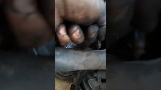 Подключение датчиков двигателя всей электроники Mercedes Vito 639 Om646