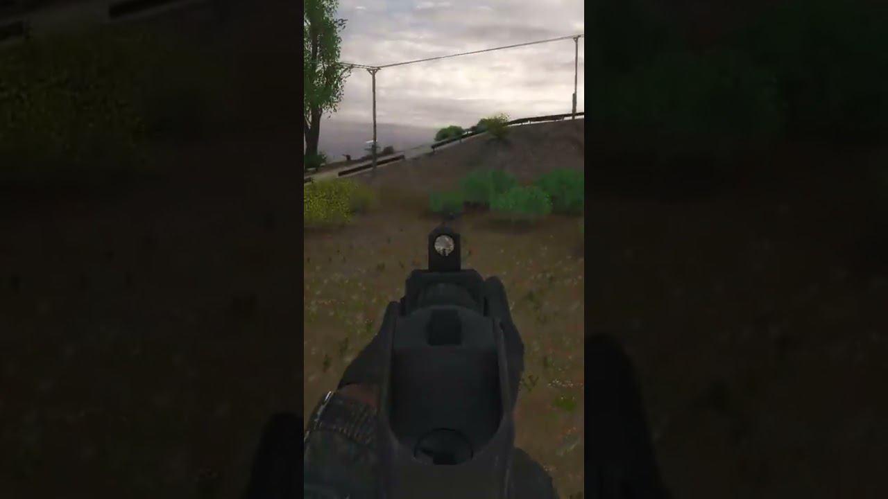 ДВУХ БИБЛИКОВ ОДНИМ ВЫСТРЕЛОМ - Сталкер ОП 2.2 Mod Pack LSC short #shorts смотреть онлайн