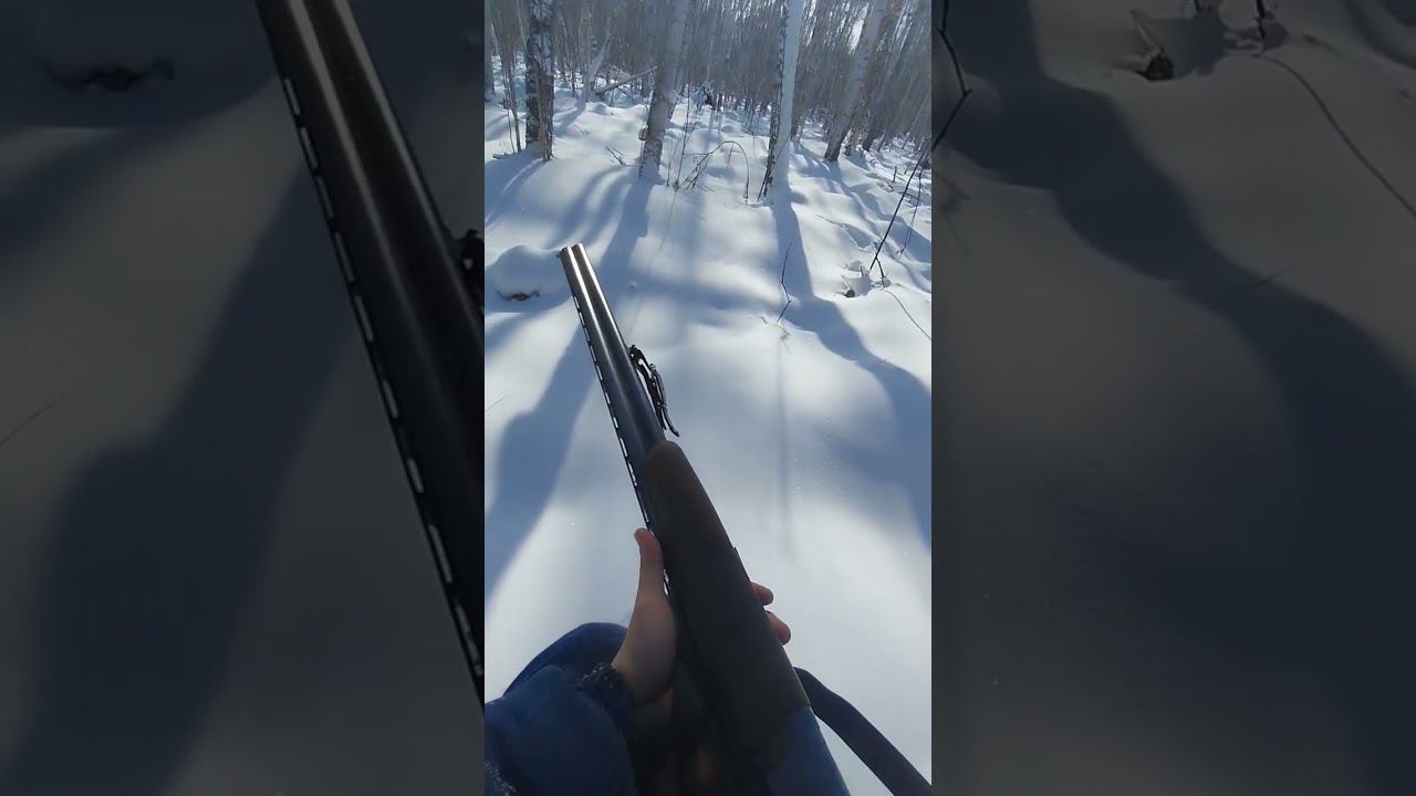 ОХОТА Алтайский край смотреть онлайн