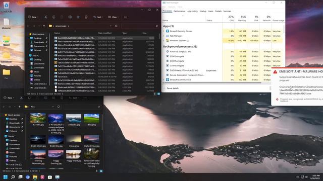 Emsisoft Anti Malware Home vs Ransomware (Take 2) смотреть онлайн