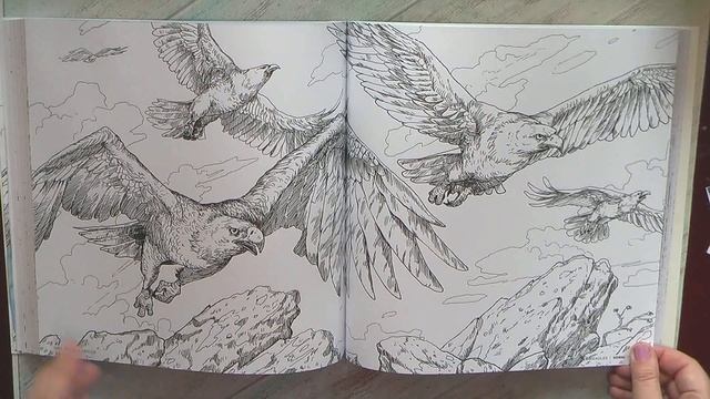 The Epic World Of Tolkien. #Coloring Book Flip Through And Paper Test #adultcoloring