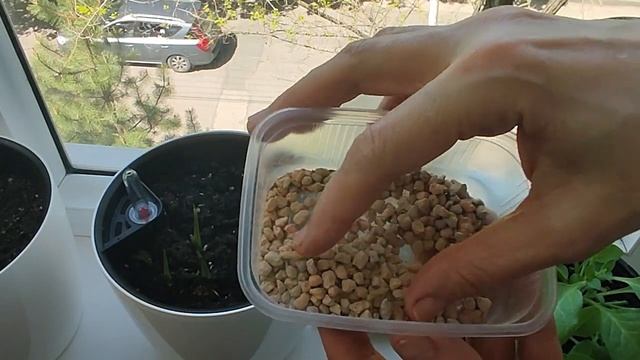 Диатомит. Почвоулучшитель. Мои отзывы и опыт применения.