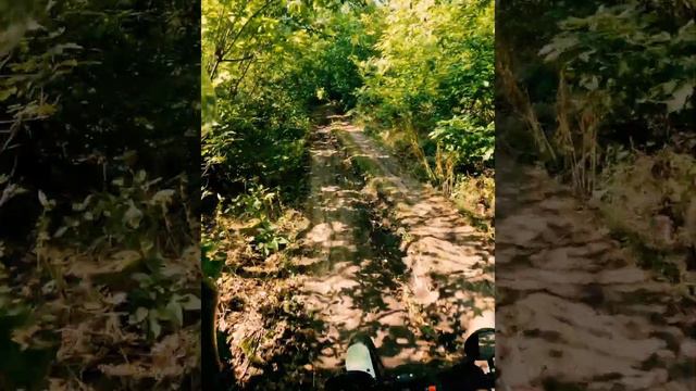 Наложил в штаны знатно😨 #эндуро #scrambler #motovlog #мотоцикл #dirtbike #мотопокатушки #дваколеса смотреть онлайн