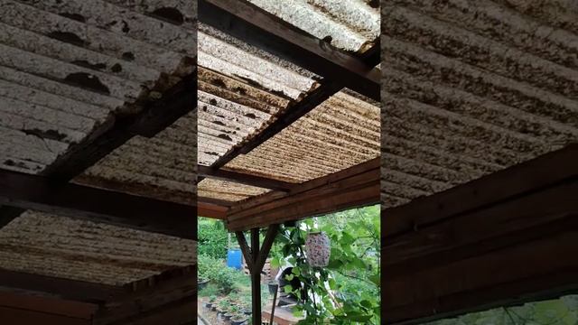 Ламинат на дачу бесплатно смотреть онлайн