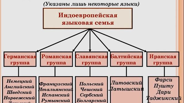 § 40. Языки: семьи, группы, народы смотреть онлайн