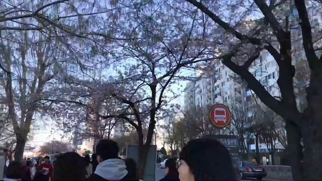 ЧТО НУЖНО ЗНАТЬ, ПОСМОТРЕТЬ В СЕУЛ - ЮЖНАЯ КОРЕЯ смотреть онлайн