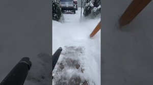 Воздуходувка DeWALT DCBL722B