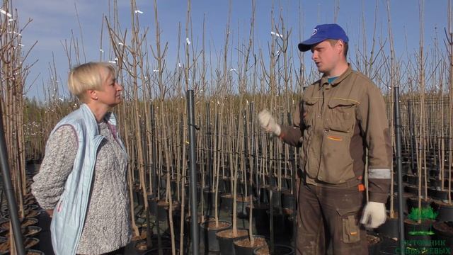 Полезные советы: весенние работы в саду, уход за растениями смотреть онлайн