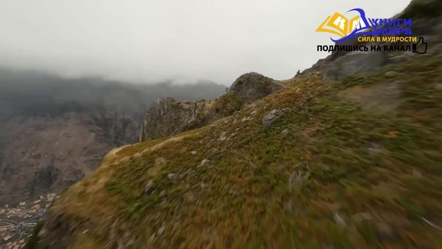 Как Забыть Всё Чтобы Стать Богом! Исповедь Просветленного! l НИКОШО и Роберт Адамс смотреть онлайн