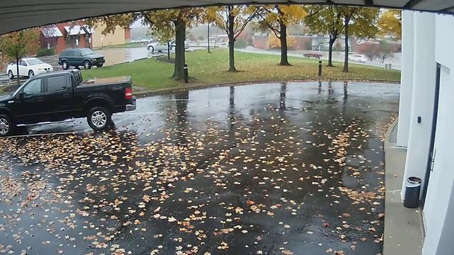 IR 1.3MP Bullet Cam Sensitivity - Leaves Blowing смотреть онлайн