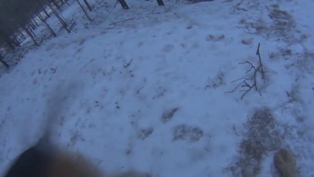 Охота на зайца с гончей. Очередной трофей смотреть онлайн