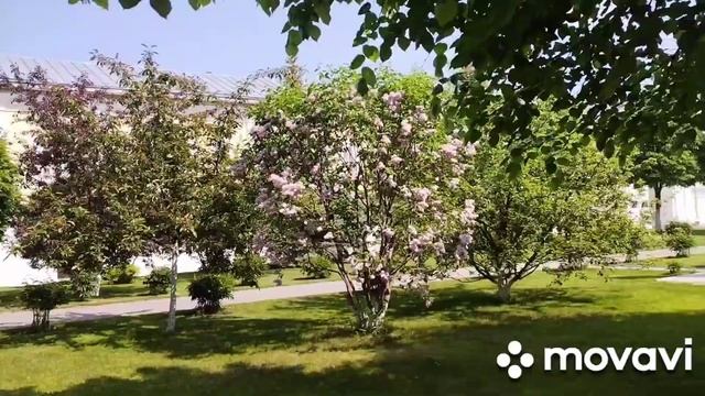 НАШЕ ПУТЕШЕСТВИЕ С КРОШЕНЬКОЙ ??? ПО ГОРОДАМ ЗОЛОТОГО КОЛЬЦА.КОСТРОМА часть 2 смотреть онлайн