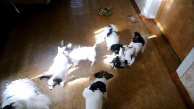 Давай поиграем смотреть онлайн