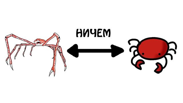 "Морские монстры и чудовища глубин океана" - Академия Сэма О'Нэллы (Студия Broccoli) смотреть онлайн