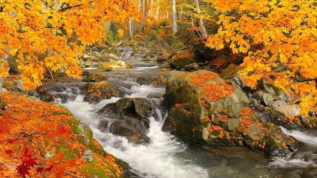 In Your Presence, There is Peace Piano Instrumental w/ Amazing, Relaxing Nature Sound & Scenery смотреть онлайн
