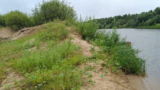 Новости с реки. Дождливое утро, я пошёл за грибами. смотреть онлайн