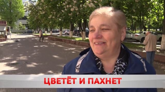 Флористический boom. смотреть онлайн
