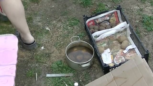 посадка картофеля на картон,под солому- мой метод. смотреть онлайн