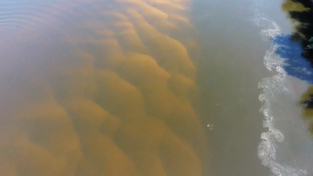 река Большой Иргиз и Ревяка смотреть онлайн