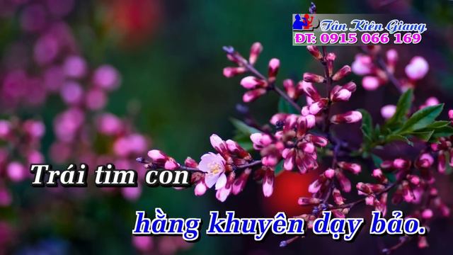 Má Ơi Karaoke Xuân Hòa | Tân Cổ Trích Đoạn Karaoke Beat. смотреть онлайн
