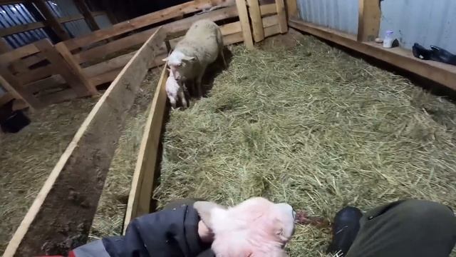 ОН ЖИВОЙ ? ОТКАЗАЛАСЬ ОТ НЕГО ! ЧТО ТЕПЕРЬ С НИМ БУДУ ДЕЛАТЬ? смотреть онлайн