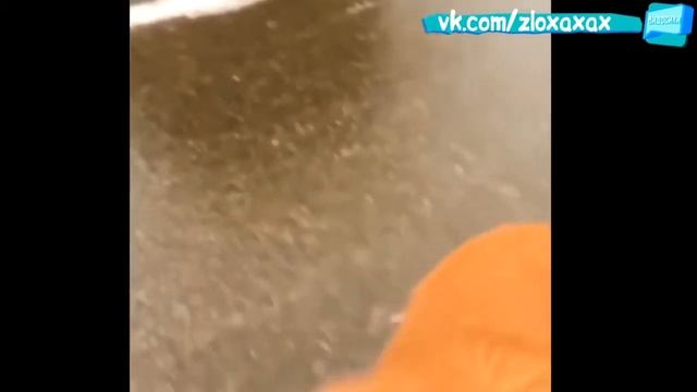 ●ПОШЛЫЕ ПРИКОЛЫ 18 и Другие● Приколы 18 плюс пошлые 2017, Приколы для взрослых 1 смотреть онлайн