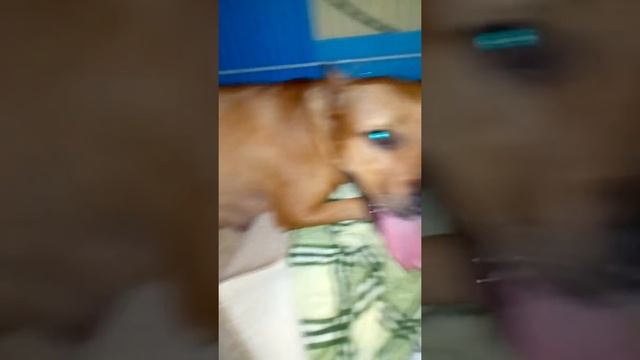 Схватки, старт перед родами. смотреть онлайн