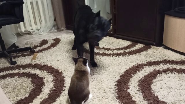 Как же ты достала