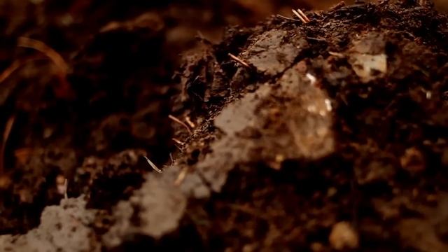 Celebrate Recovery Lesson "Stop Digging" Bumper Video смотреть онлайн