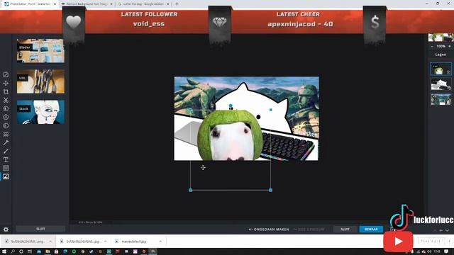 How to set up and fully customize your bongo cat in 2021! (obs/streamlabs) смотреть онлайн