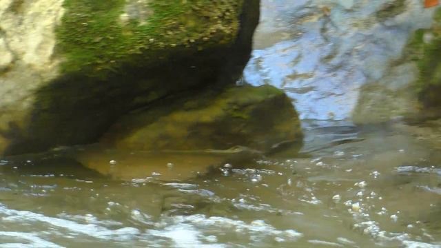 Большой каньон Крыма. Тропа ( Кордон - Почтовый дуб). часть 2 смотреть онлайн