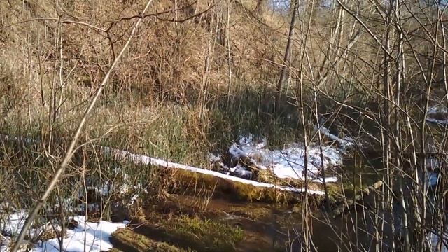 Золото на ручейках Подмосковья смотреть онлайн