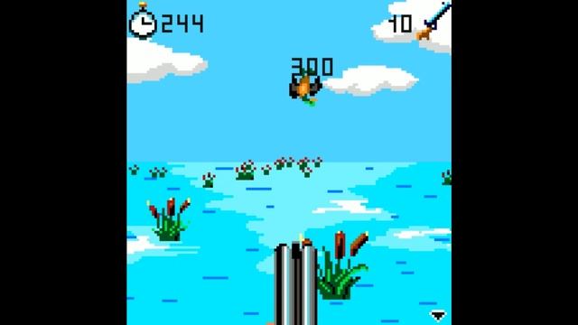 Fowling JAVA GAME (Infon 2002) By Igor Maznitsa [Colored] смотреть онлайн
