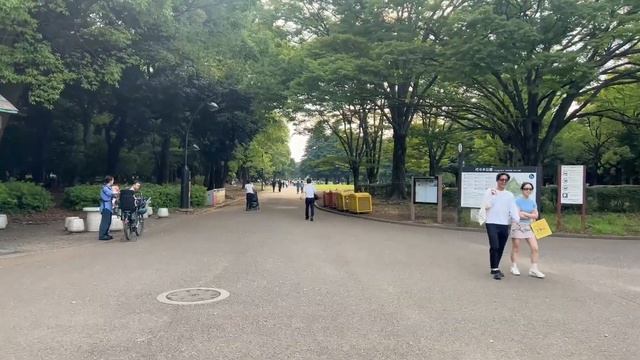 АлинаРин про КАК ВЫУЧИЛА ЯПОНСКИЙ! AlinaRin нарезки