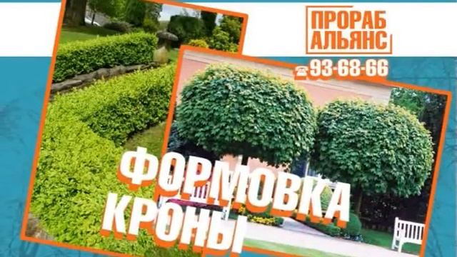 Подрезка, спил, формовка деревьев в Хабаровске. смотреть онлайн