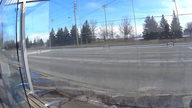 Автобусная остановка в пригороде Торонто.